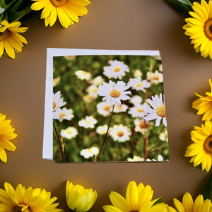 Delightful Daisy-themed Blank Card for Any Occasion