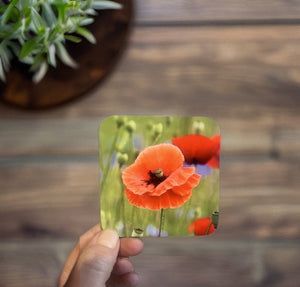 Red Poppy Glossy Single Coaster