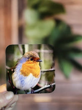 Load image into Gallery viewer, Chirpy Robin Glossy Wooden Coaster Set
