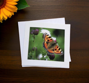 Elegantly Designed Butterfly-Blank Cards Suitable for Any Occasion.