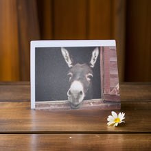 Load image into Gallery viewer, Cute Donkey Blank Notecard
