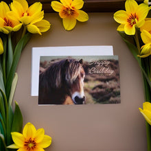 Load image into Gallery viewer, Charming Horse Birthday Card for Horse Lovers
