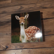 Load image into Gallery viewer, Majestic Fallow Deer Blank Greeting Cards for Any Occasions
