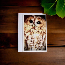 Load image into Gallery viewer, Captivating Woodland Tawny Owl Blank Greeting Card
