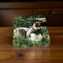 Load image into Gallery viewer, Cute Grey Squirrel Wooden Coaster Set
