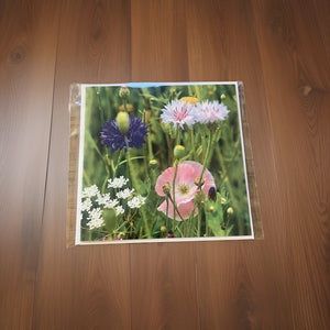 Blooming Beauty Wild Flower Blank Greeting Card