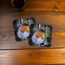 Load image into Gallery viewer, Chirpy Robin Glossy Single Coaster
