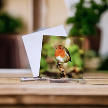 Load image into Gallery viewer, Chirpy Robin Blank any Occasion Greeting Card
