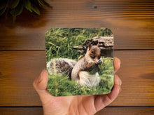 Load image into Gallery viewer, Grey Squirrel Glossy Single Coaster
