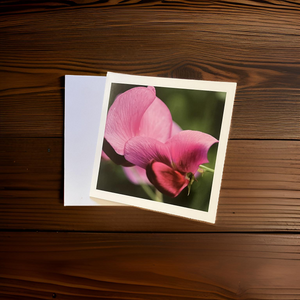 Sweet Pea Blank Card for Any Occasion