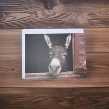 Load image into Gallery viewer, Cute Donkey Blank Notecard
