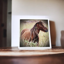 Load image into Gallery viewer, Charming Wild Horse Greeting Cards
