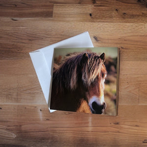 Charming Horse Greeting Card for Horse Lovers