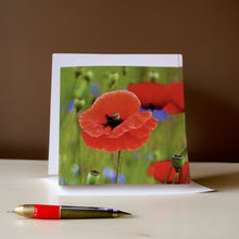 Load image into Gallery viewer, Striking Poppy Greeting Card Blank with White Envelope
