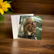 Load image into Gallery viewer, Adorable Red Squirrel Card for Any Occasion.
