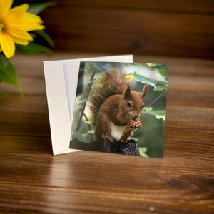 Adorable Red Squirrel Card for Any Occasion.