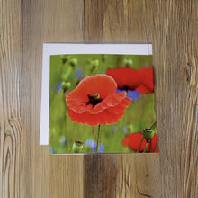 Load image into Gallery viewer, Striking Poppy Greeting Card Blank with White Envelope
