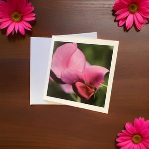 Sweet Pea Blank Card for Any Occasion