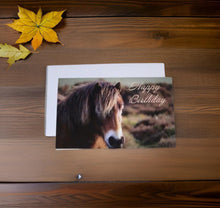 Load image into Gallery viewer, Charming Horse Birthday Card for Horse Lovers
