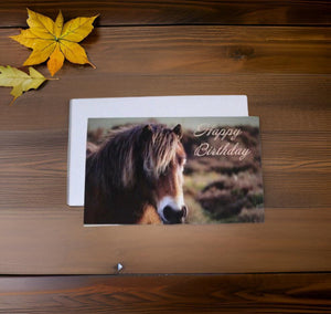 Charming Horse Birthday Card for Horse Lovers