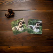 Load image into Gallery viewer, Cute Grey Squirrel Wooden Coaster Set
