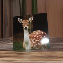 Load image into Gallery viewer, Majestic Fallow Deer Blank Greeting Cards for Any Occasions
