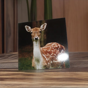 Majestic Fallow Deer Blank Greeting Cards for Any Occasions