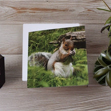 Load image into Gallery viewer, Adorable Grey Squirrel Card for Any Occasion.
