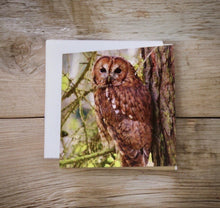 Load image into Gallery viewer, Tawny Owl Glossy Blank Greeting Cards
