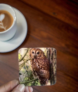 Tawny Owl Glossy Single Coaster