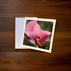 Sweet Pea Blank Card for Any Occasion