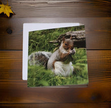 Load image into Gallery viewer, Adorable Grey Squirrel Card for Any Occasion.
