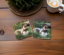 Load image into Gallery viewer, Grey Squirrel Glossy Single Coaster
