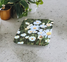 Load image into Gallery viewer, Oxeye Daisy Glossy Single Coaster
