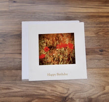 Load image into Gallery viewer, Striking Red Poppy Birthday Card
