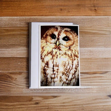 Load image into Gallery viewer, Captivating Woodland Tawny Owl Blank Greeting Card
