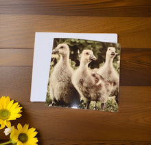 Load image into Gallery viewer, Trio of Adorable Goslings Blank Any Occasion Greeting Card
