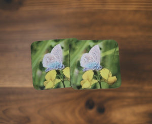 Blue Butterfly Glossy Single Coaster