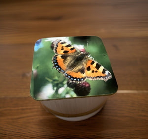 Beautiful Butterfly Glossy Wooden Coaster Set