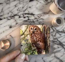 Load image into Gallery viewer, Tawny Owl Glossy Single Coaster
