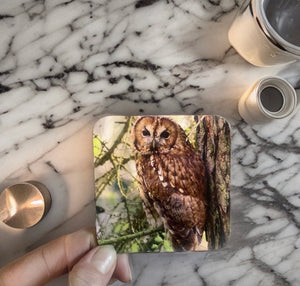 Tawny Owl Glossy Single Coaster