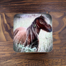 Load image into Gallery viewer, Charming Wild Horse Glossy Wooden Coaster Set
