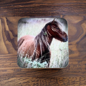 Charming Wild Horse Glossy Wooden Coaster Set