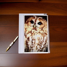 Load image into Gallery viewer, Captivating Woodland Tawny Owl Blank Greeting Card
