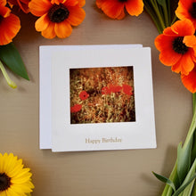 Load image into Gallery viewer, Striking Red Poppy Birthday Card
