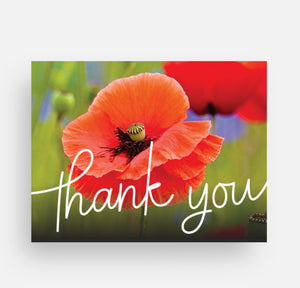 Striking Poppy Blank Thank you Notecards