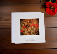 Load image into Gallery viewer, Striking Red Poppy Birthday Card
