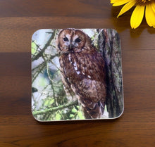 Load image into Gallery viewer, Tawny Owl Glossy Single Coaster
