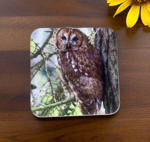 Tawny Owl Glossy Single Coaster