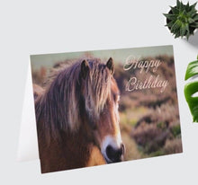 Load image into Gallery viewer, Charming Horse Birthday Card for Horse Lovers
